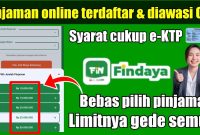 Pinjaman Online Findaya Solusi Keuangan Cepat, Mudah