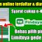 Pinjaman Online Findaya Solusi Keuangan Cepat, Mudah